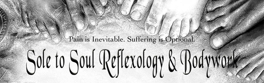 Sole to Soul Reflexology & Bodywork Logo
